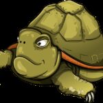 Turtle - A wise reptile
